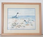 Cheminais Terns Seabird Watercolour Painting 1992.